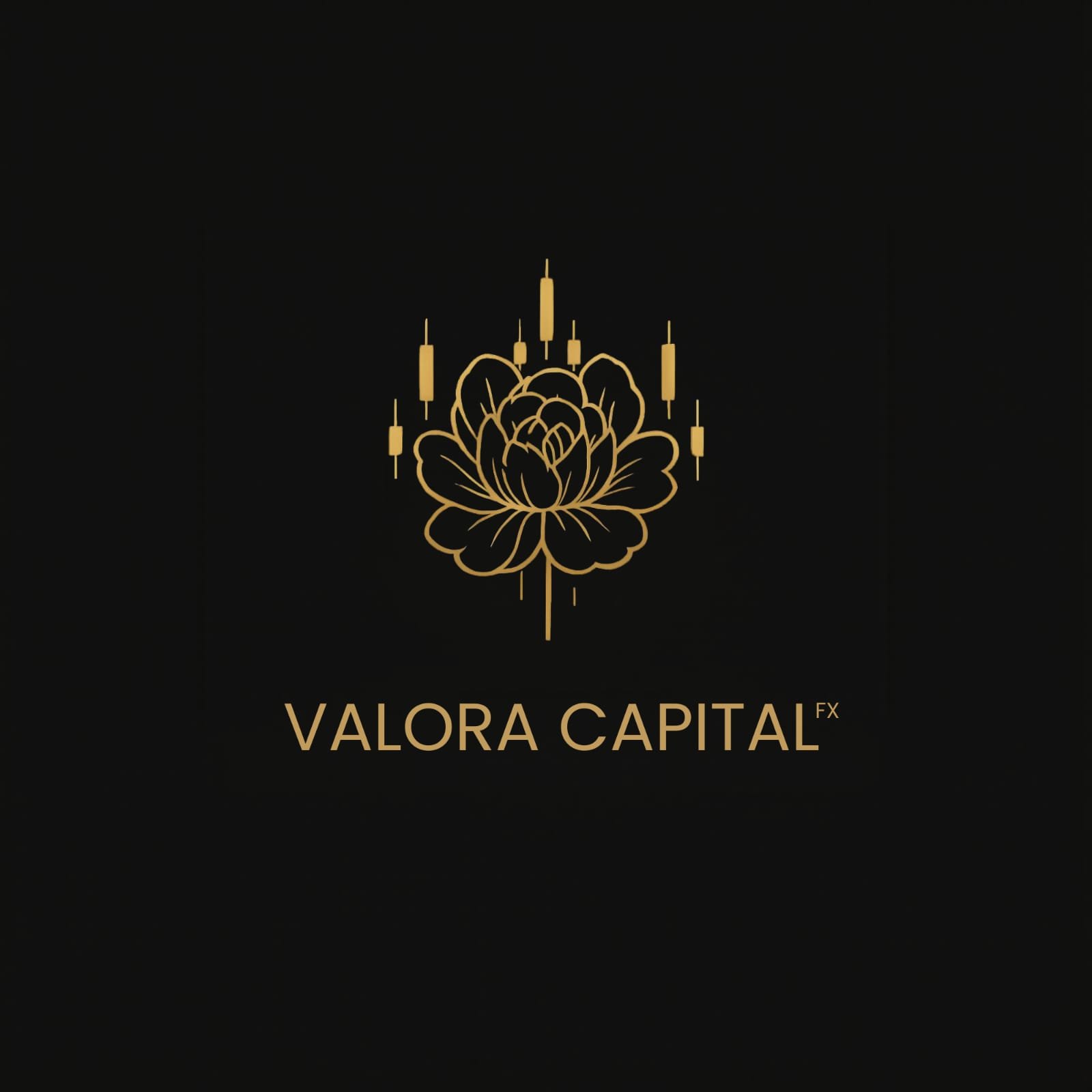 Valora Capital FX